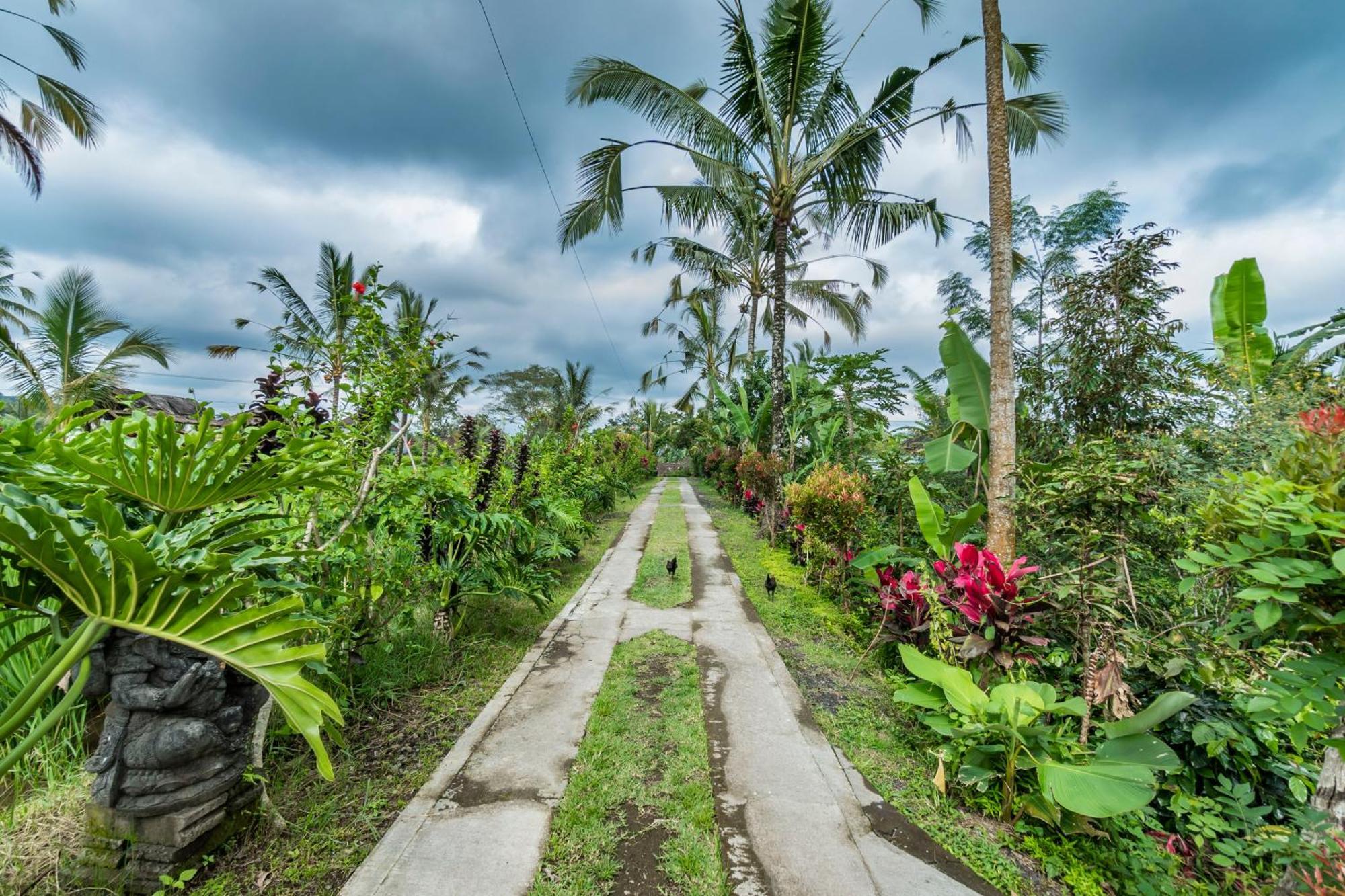 Ritual Ubud Payangan Kültér fotó